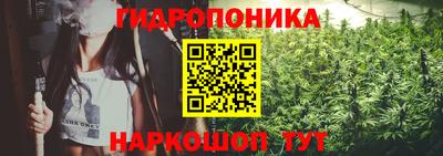 каннабис Кингисепп