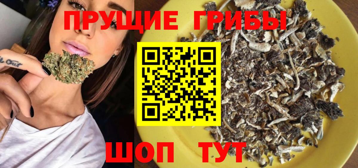 Галлюциногенные грибы мицелий Карачаевск